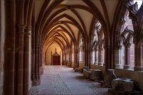 88100 - Saint-Dié-des-Vosges.  La Cathédrale. : 88,Saint,Dié,Cathédrale